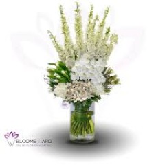 Seller Image