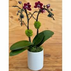 Seller Image
