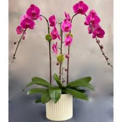Seller Image
