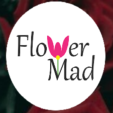 Seller Logo