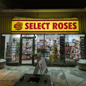 Seller Logo