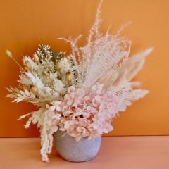 Seller Image